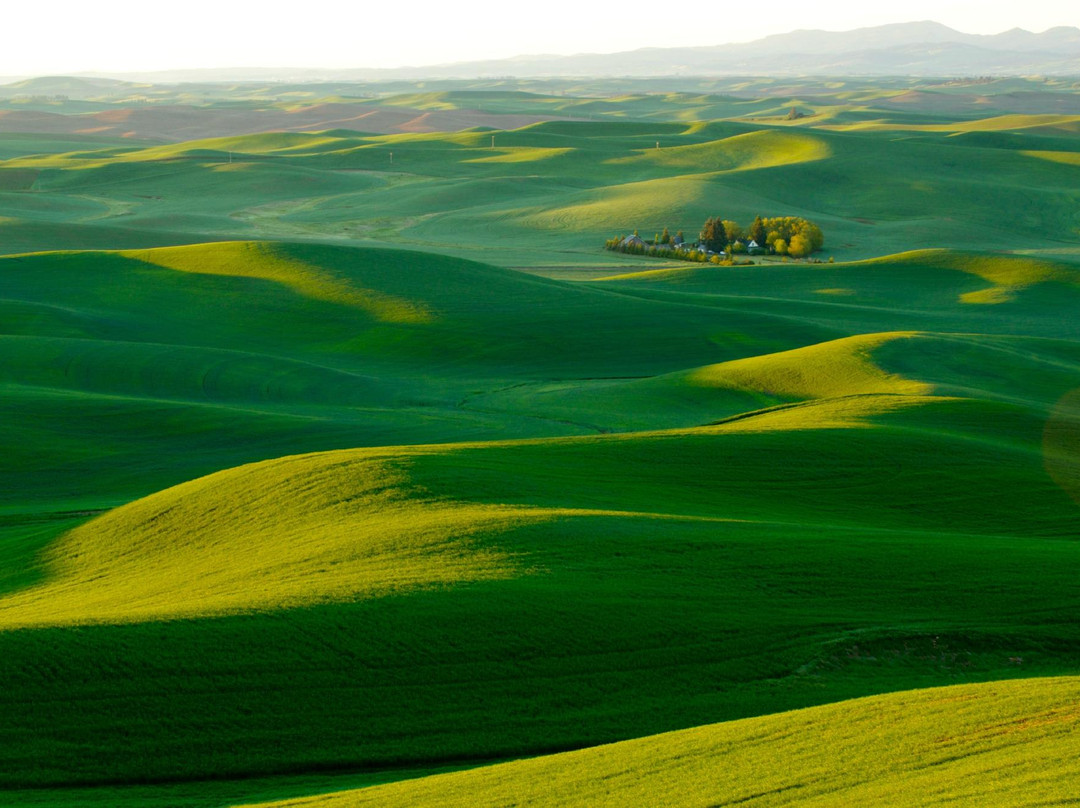 Palouse Tour-Colfax必去景点
