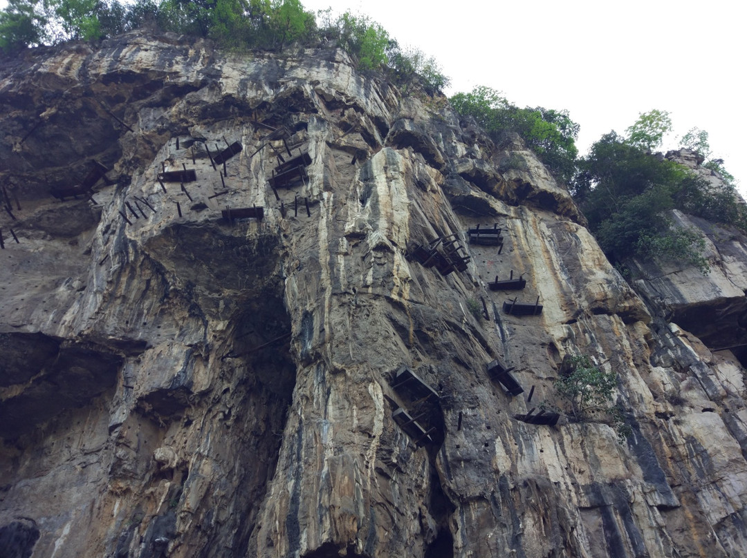 古僰悬棺陈列馆景点图片