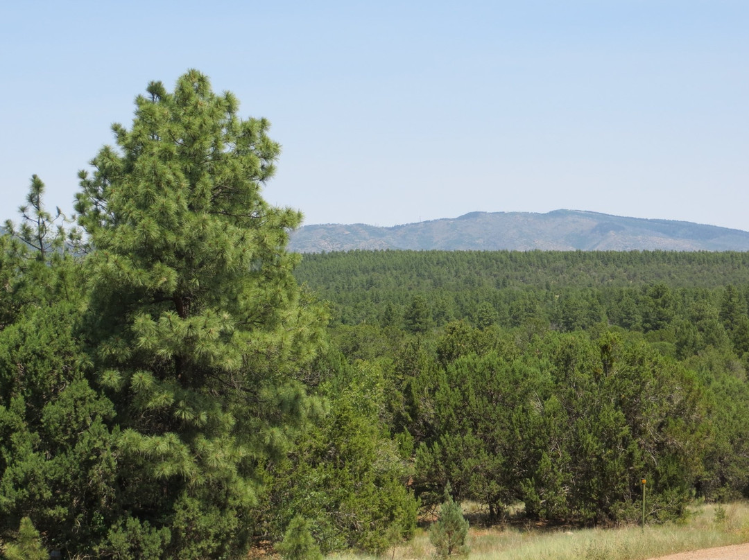 Manzano Mountains State Park景点图片