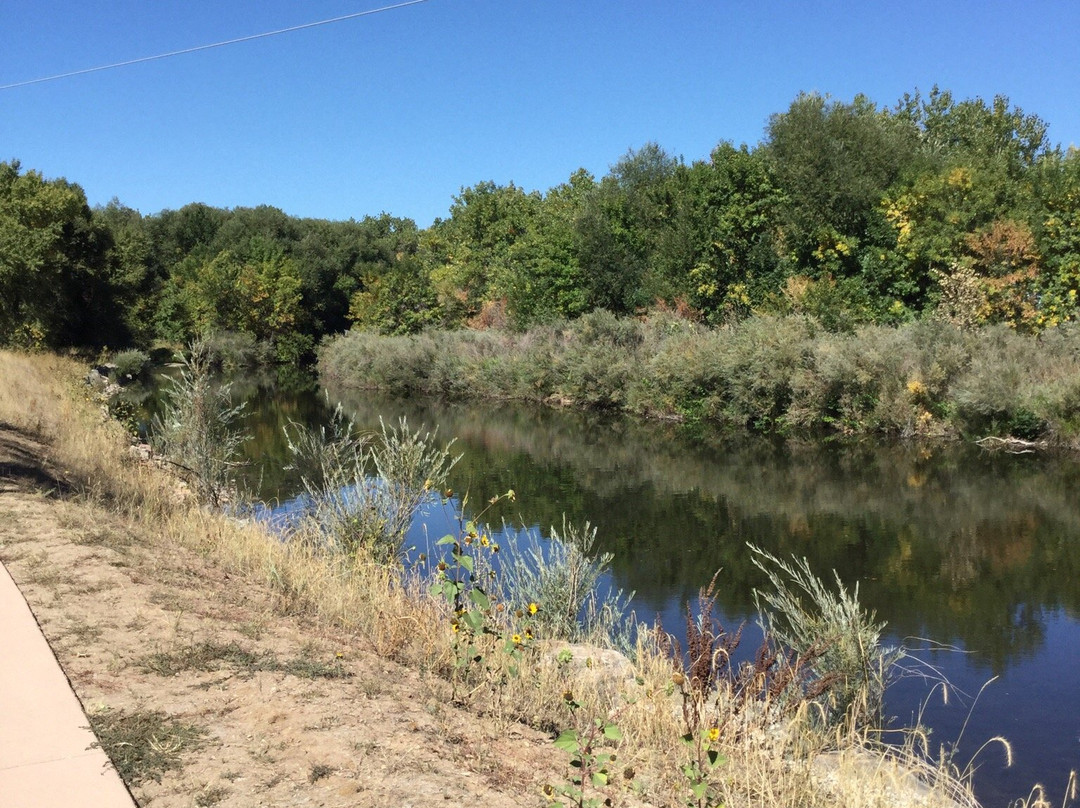 Pineridge Natural Area-科林斯堡必去景点