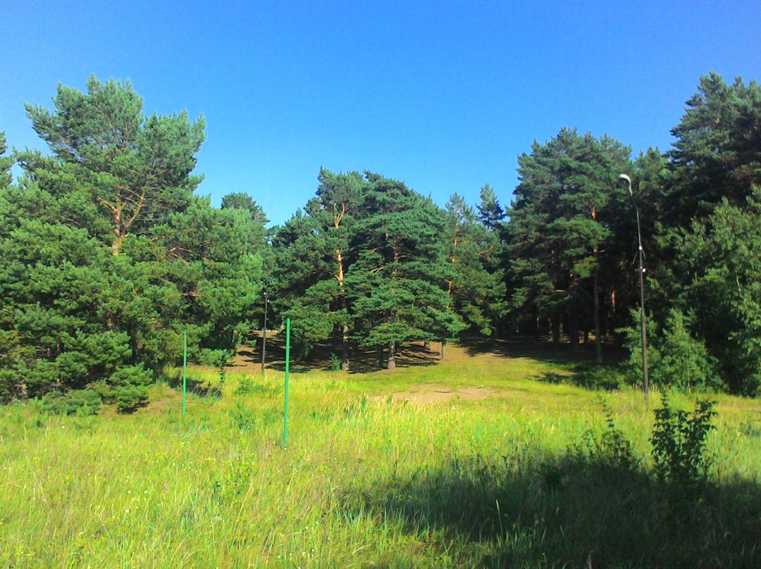Krivinskiy Forest景点图片