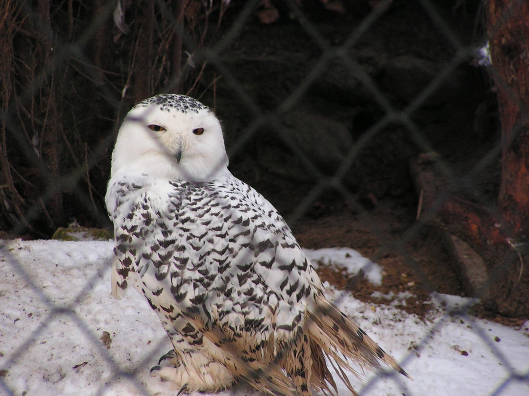 Tierpark Sassnitz景点图片