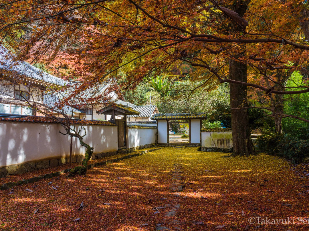 Nyoho-ji Temple