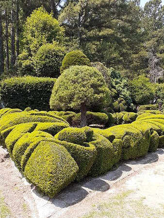 Pearl Fryar's Topiary Garden景点图片