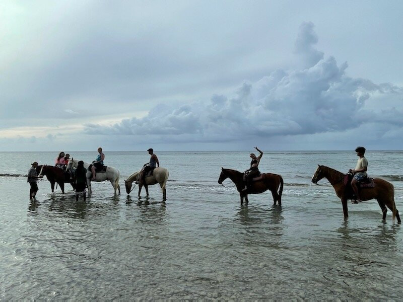 Horseback Riding St. Croix with Equus Rides景点图片