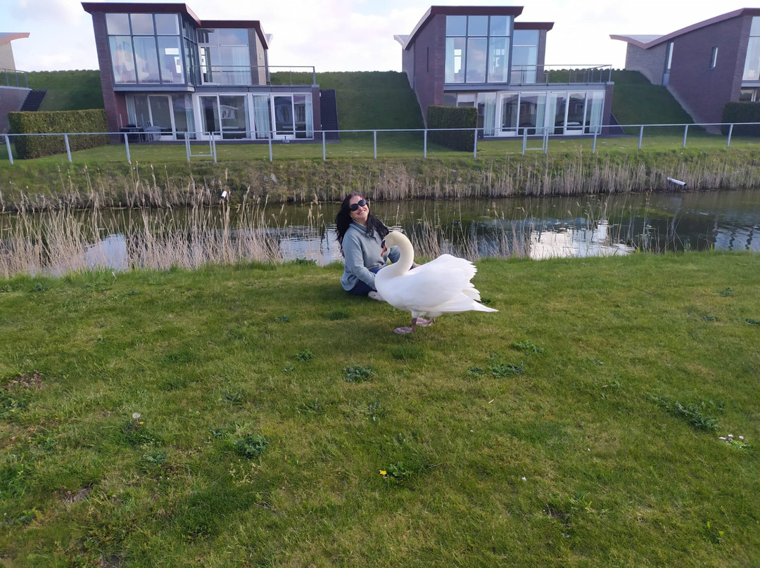 Waterpark Het Veerse Meer