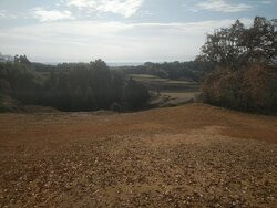 Historical Park Kikuchi Castle-山鹿市必去景点