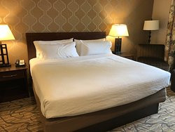 威廉斯堡假日套房酒店主图