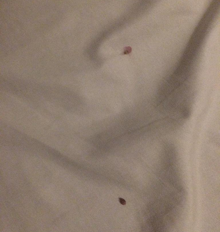 Pension Santa Rosa主图