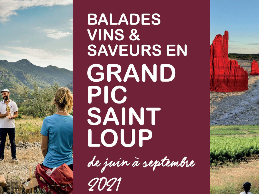 Vins & Saveurs en Grand Pic Saint-Loup景点图片