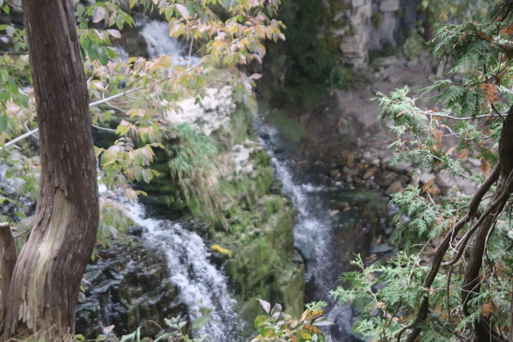 Pattawatomi Memorial Forest