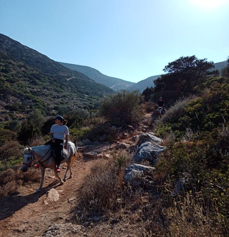 Sifnos Horseriding景点图片