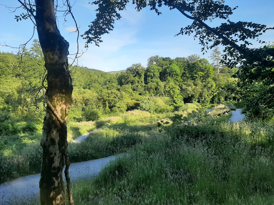 Slieve Bloom Mountain Bike Trails