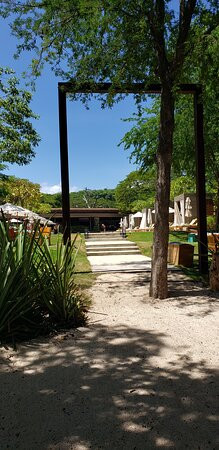 El Mangroove, Autograph Collection主图