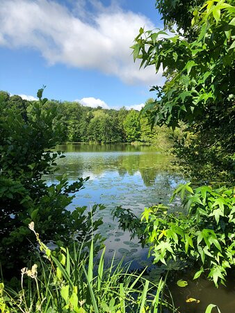 Hotel Ole Liese主图