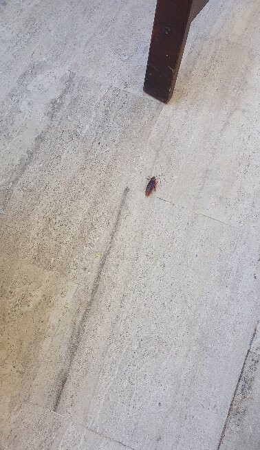 Costa Sariyaz Hotel主图