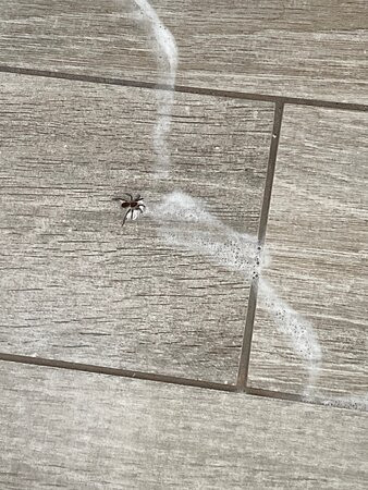 Cottages & Suites Of Geneva National主图