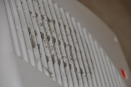 The Abbey Hotel主图