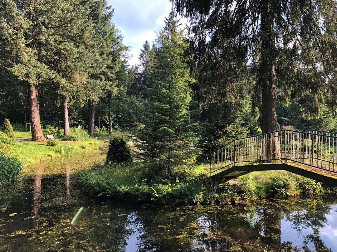 Cafe & Pension Im Kurpark