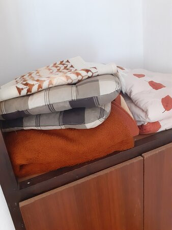 Picic Guesthouse主图