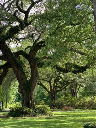 Graceville Inn & RV Park主图