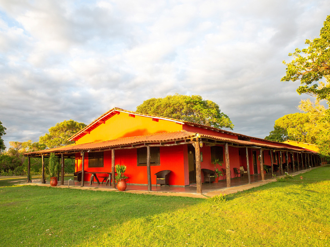 Southwild Pantanal Lodge