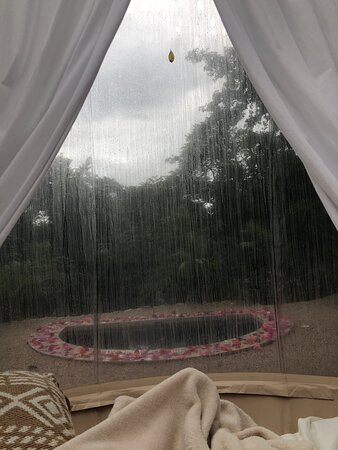 Satori Bubbles主图