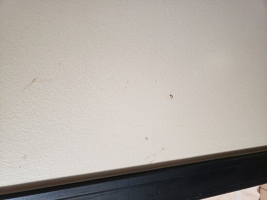 Hotel Frisco Colorado主图