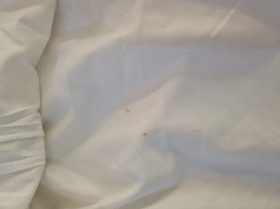 诺富特斯蒂夫尼奇酒店主图