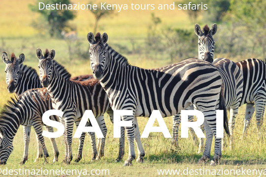 Destinazione kenya con Kish-瓦塔木必去景点