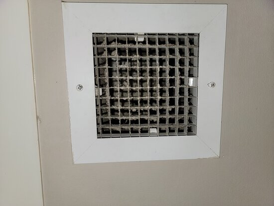 Wingate by Wyndham Chesapeake主图