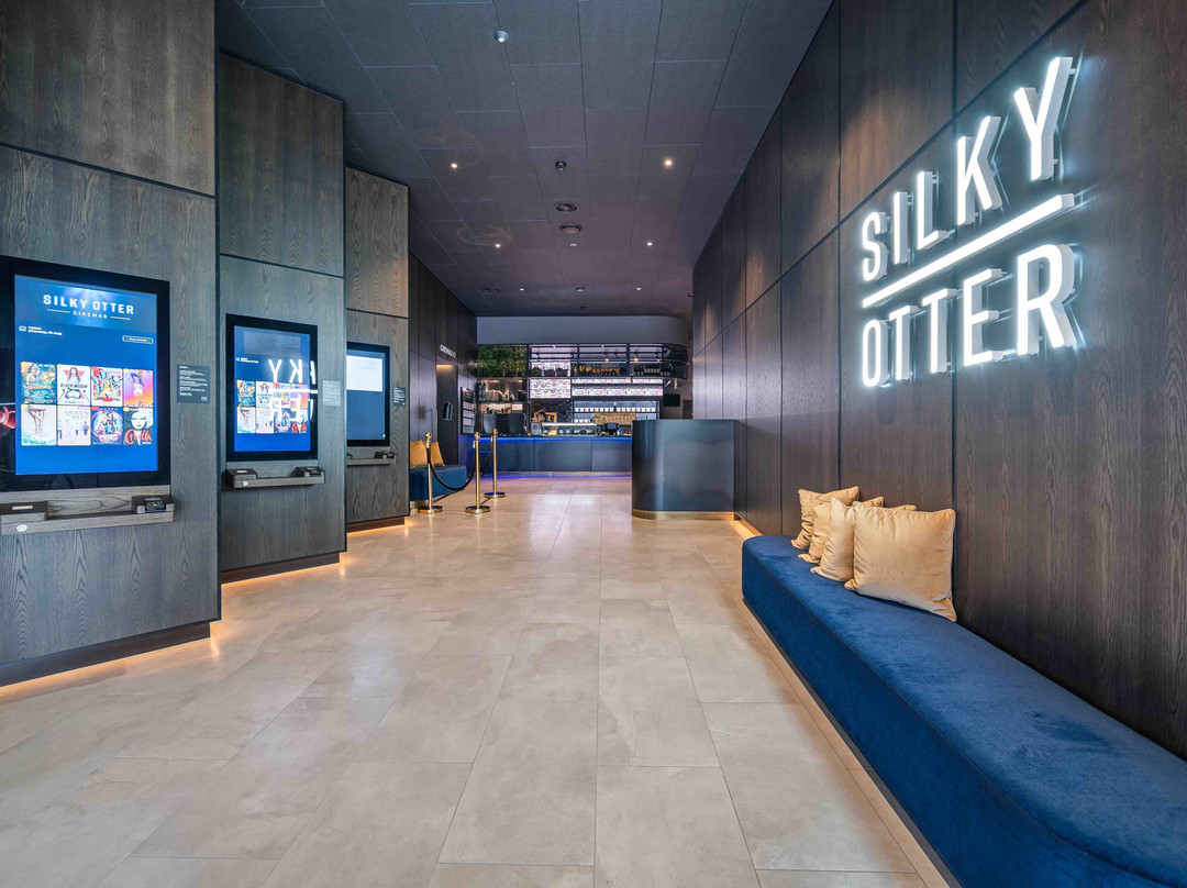 Silky Otter Cinemas, Wigram景点图片