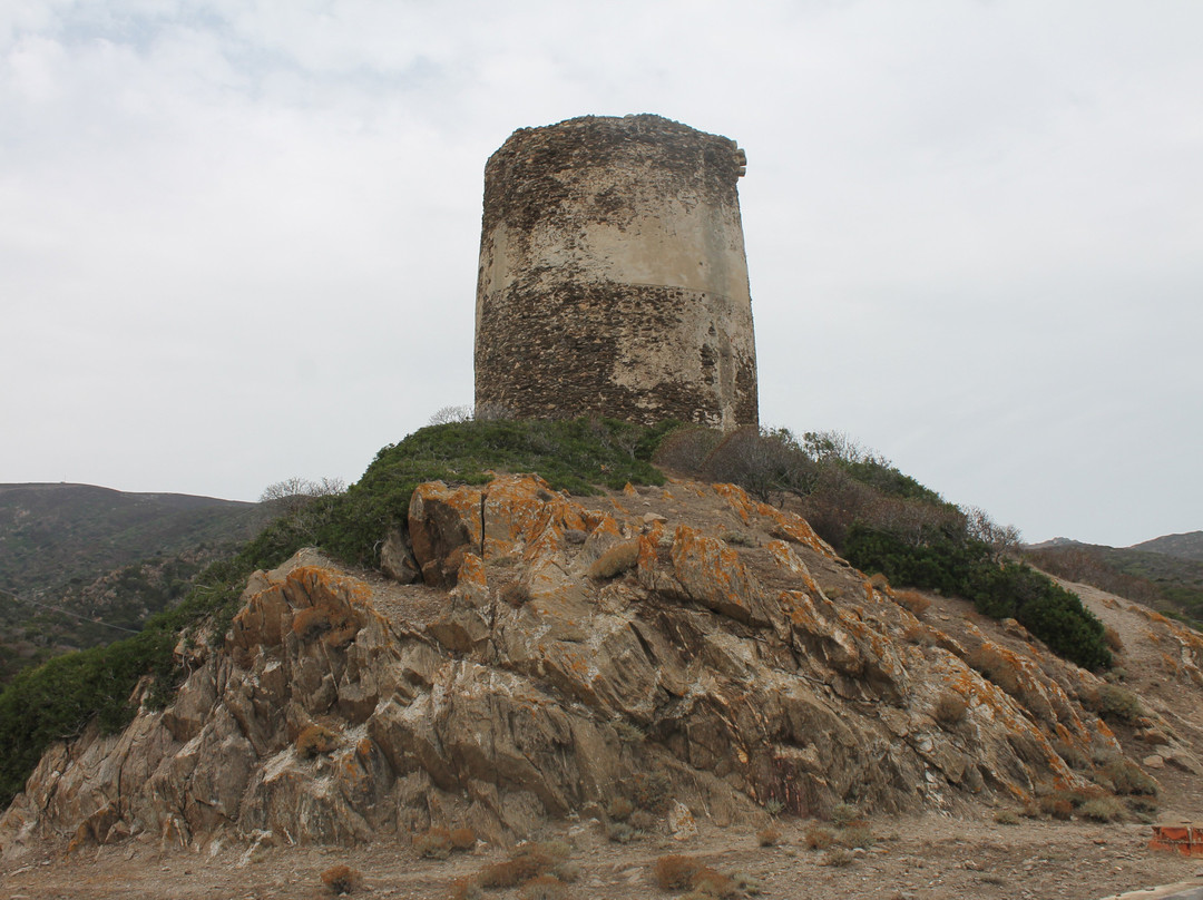 Torre Di Cala D'Oliva景点图片