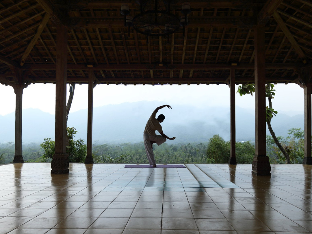 Padma Spa景点图片