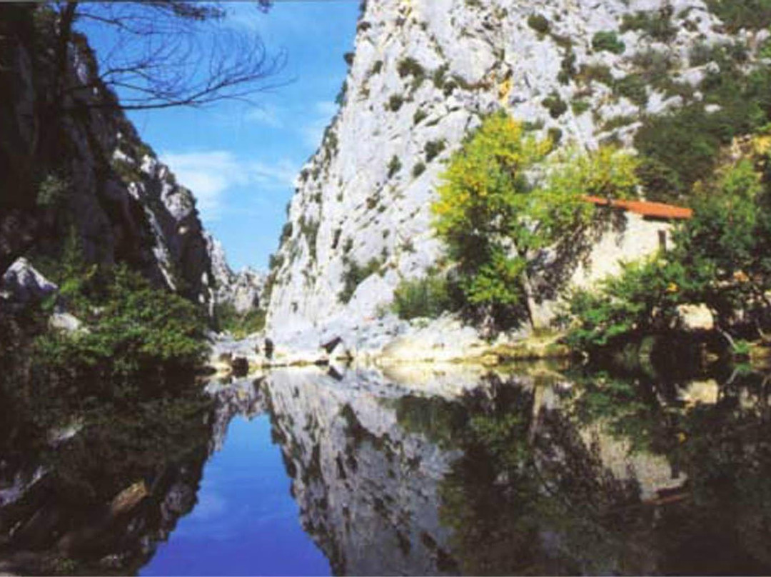 Tautavel旅游攻略图片