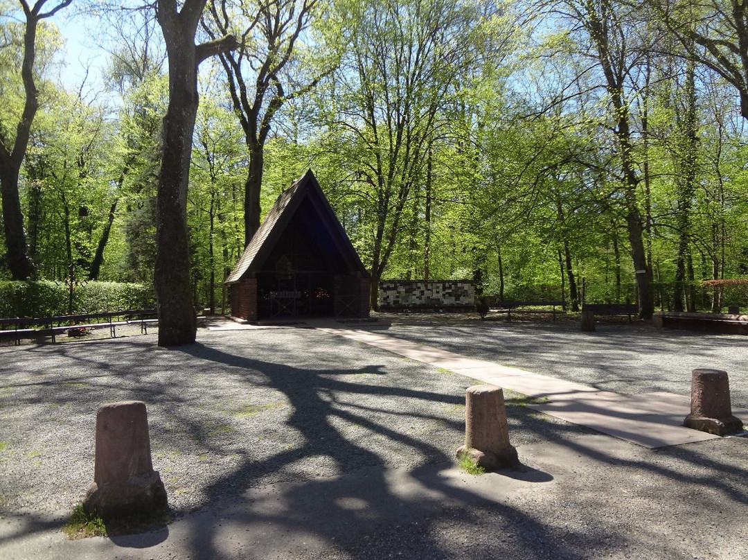 Notre-Dame du Chene景点图片