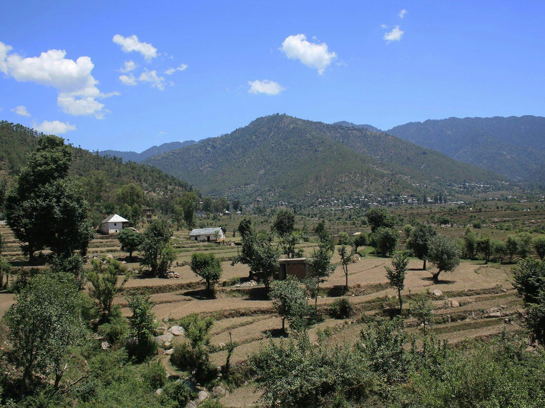 Mamleshwar Mahadev Temple景点图片