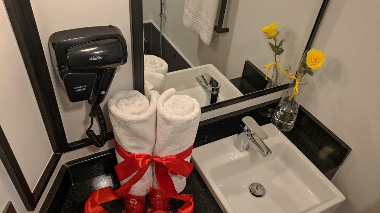 Ibis Ponta Grossa-浴室