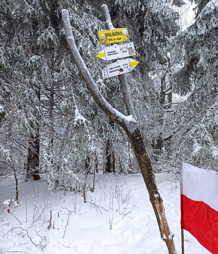 Waligora-Mieroszow必去景点