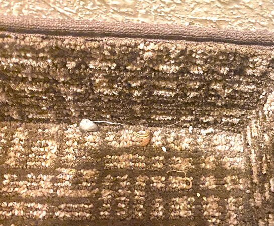 Comfort Suites Suffolk-Chesapeake主图