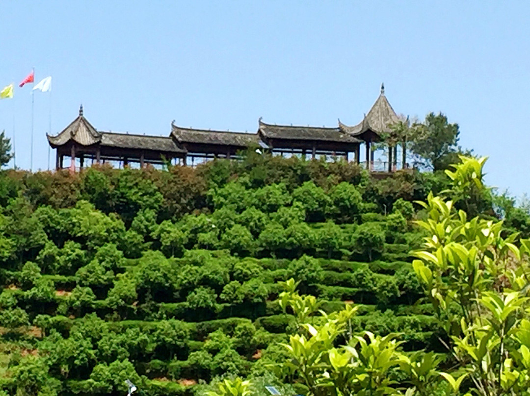 黄山屯溪山城景点图片