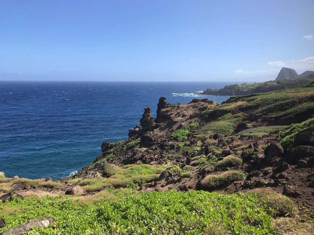 Ohai Loop Trail and Overlook景点图片