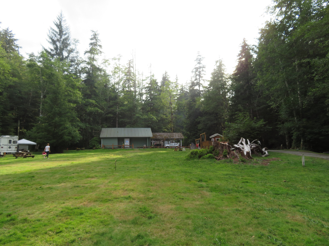 Forest Campground