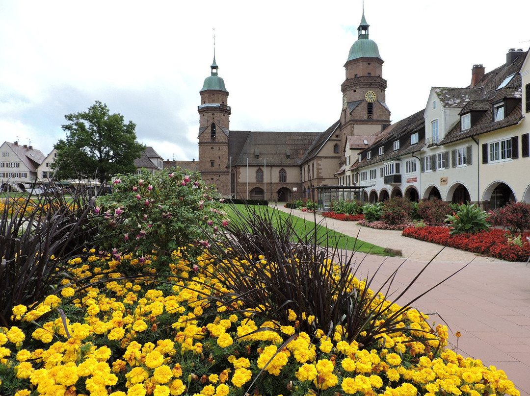 Evangelische Stadtkirche景点图片