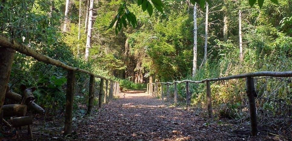 Seven Acre Woods