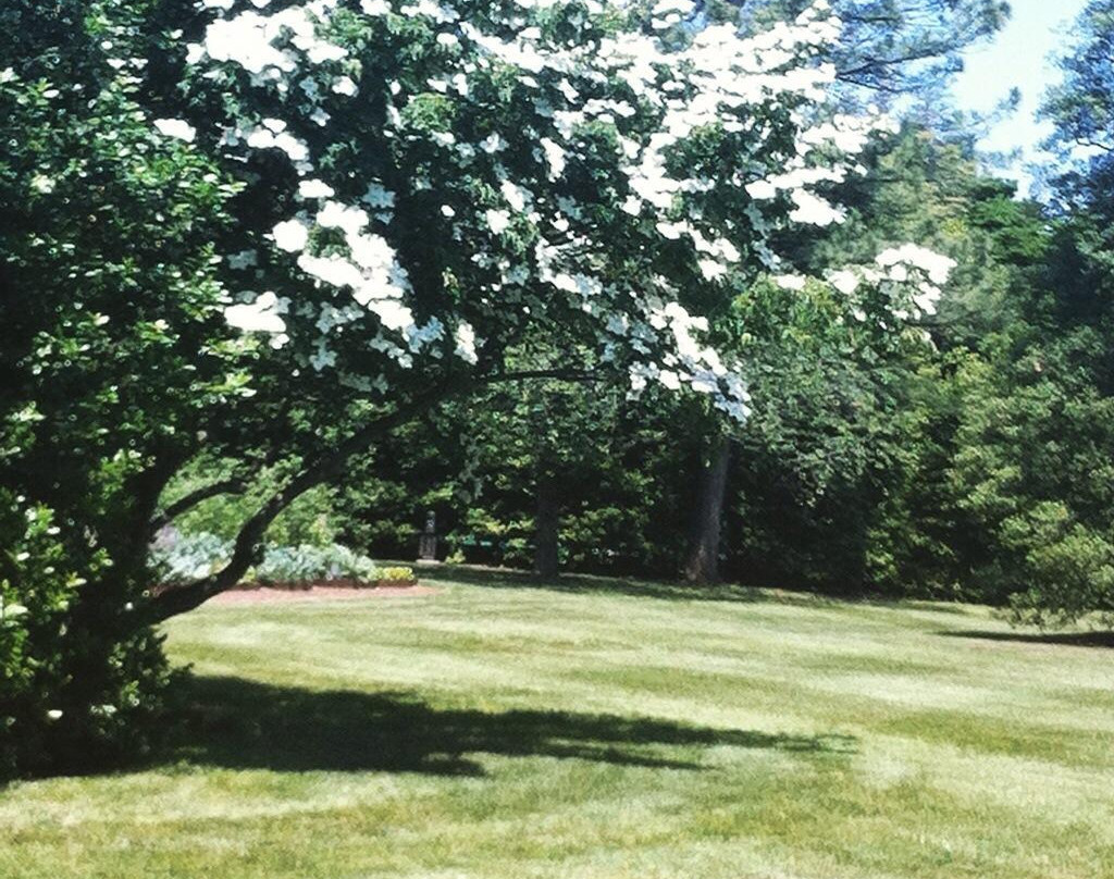 Potomac Overlook Regional Park