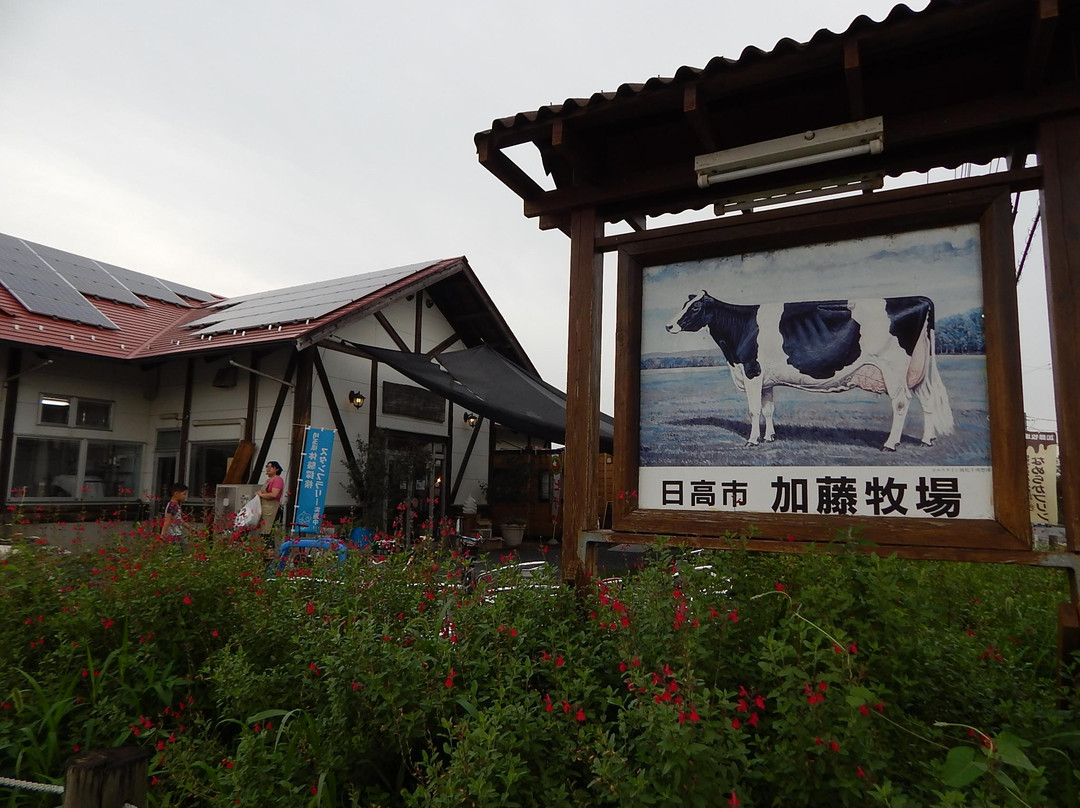 加藤牧場 Baffi 日高本店