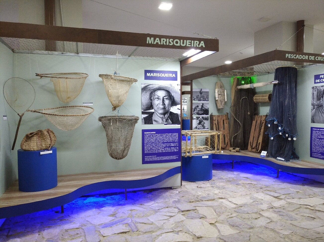 Museu Do Mar Delta Do Phb景点图片