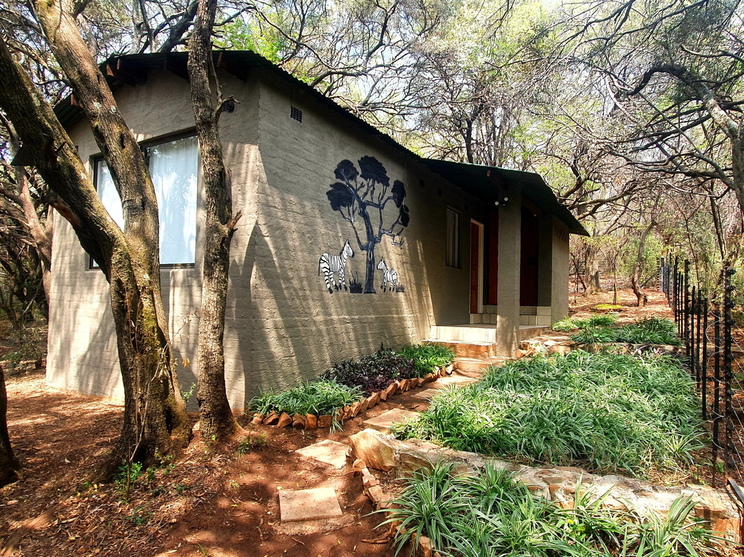 Mooinooi旅游攻略图片