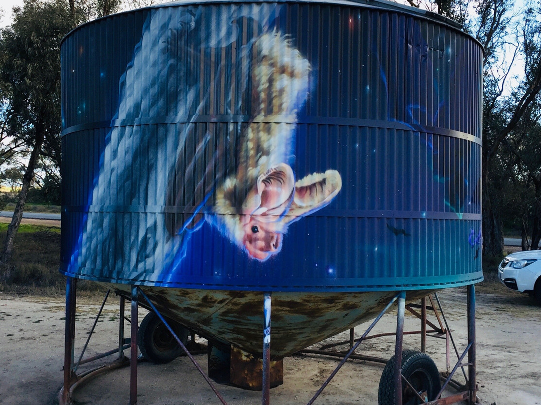 Woomelang旅游攻略图片